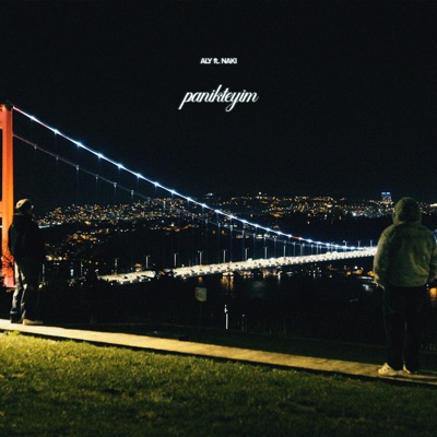 panikteyim - Single