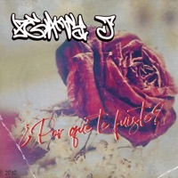Por Qué Te Fuiste? - Single - Heavy J