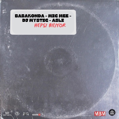 Hepsi Biliyor (feat. Mic Mee, BRS, Aslı & Dj Mystic) - Single