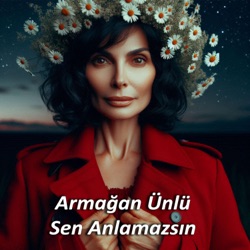 Sen Anlamazsın