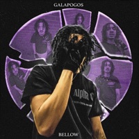 Galapogos - Single - Bellow
