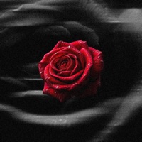 Bleed - Single - Empathik