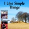 I Like Simple Things (feat. Alexandra Zerner) - Paul McEwan lyrics