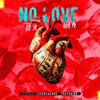 NO LOVE (feat. Rayo pr) - Single - Teo SR