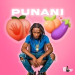 PUNANI - Single