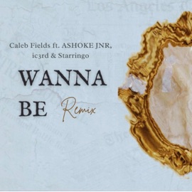 Wanna Be (feat. Starringo) [Remix] Caleb Fields, Ic3rd & ASHOKE JNR