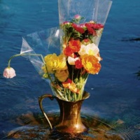 Paralyzed (Radio Edit) - Single - Isaac Atlas