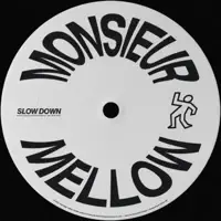 Slow Down — Monsieur Mellow & Taj Ralph