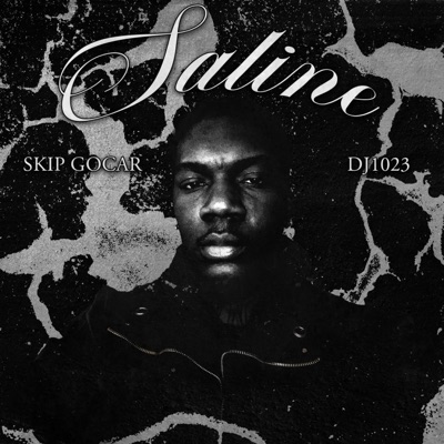 Saline (feat. Dj1023) - Single