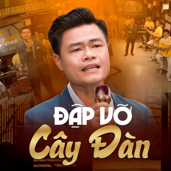 Đập Vỡ Cây Đàn - Single