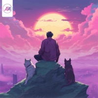 Peaceful Soul - Single - Steve Nguyen