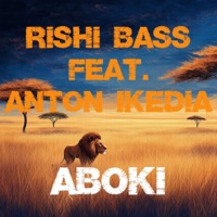 Aboki (feat. Anton Ikedia) - Single - Rishi Bass