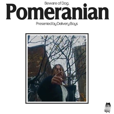 Pomeranian - Single