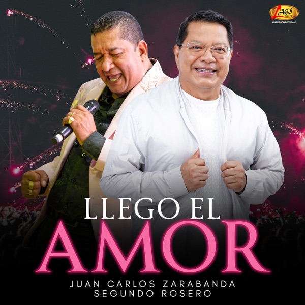 Llego El Amor