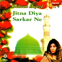 Jitna Diya Sarkar Ne, Vol. 9 - Shabnam Majid