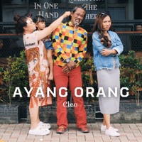 Ayank Orang - Single - Cleo