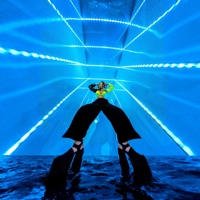 Free Your Mind - Single - Nolo Grace