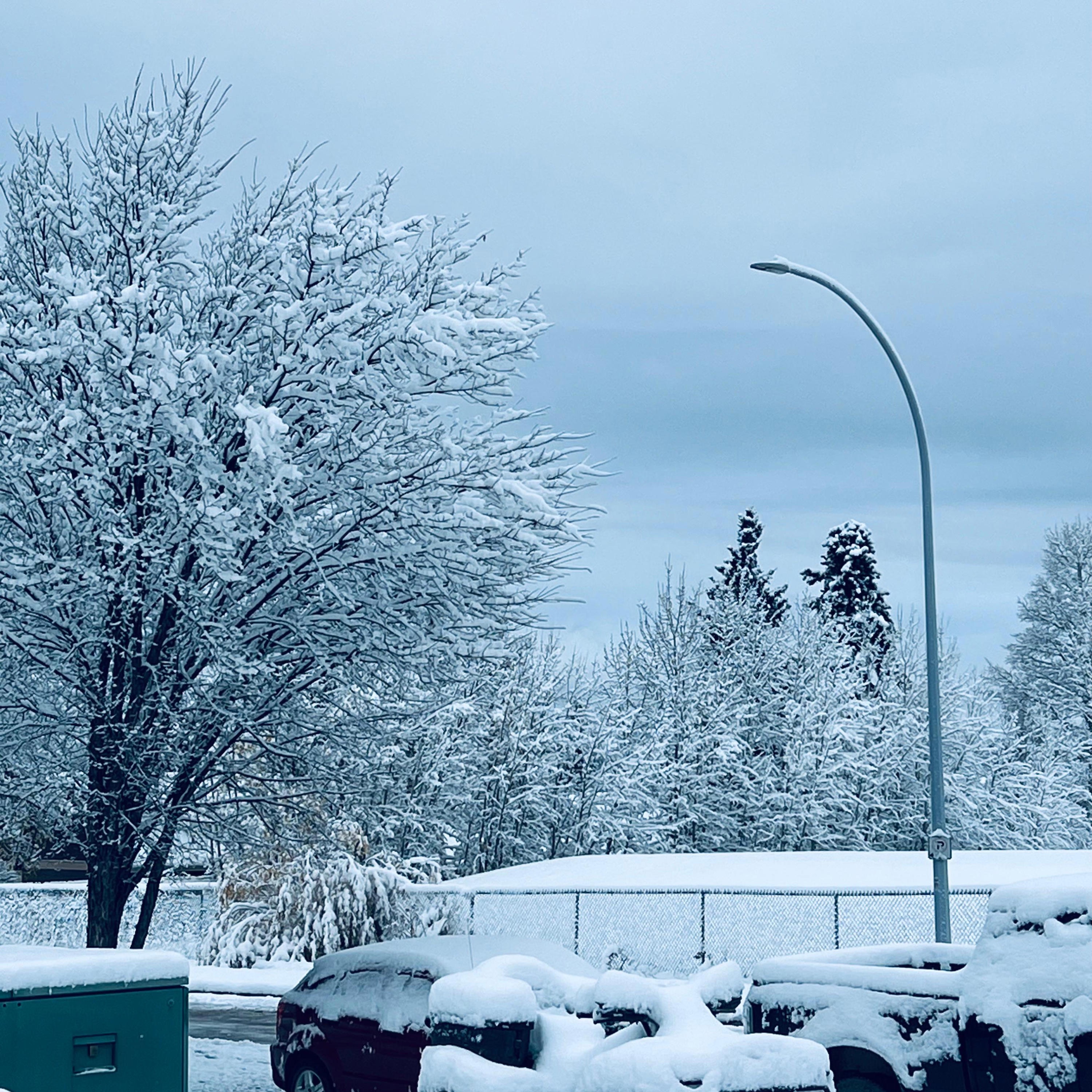 Falling Apart - Single