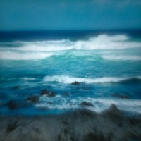 SED - Single - Arce SDL