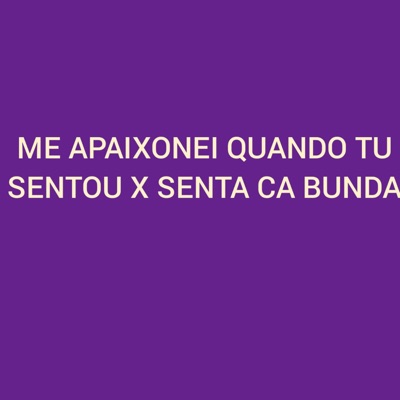 Me Apaixonei Quando Tu Sentou X Senta Ca Bunda - Single