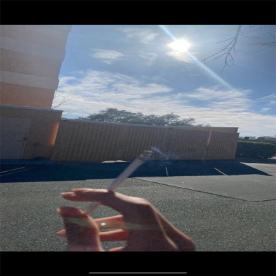 Rouge Rebel - Single