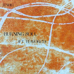 Burning Soul (feat. Tfavored)