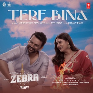 Tere Bina (From 