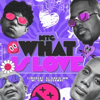 Mtg What Is Love - Single - cjnobeat, Dj David MM & MC GW