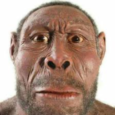 DARK MEAT UPC - Hooga Booga Jungle