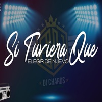 Si Tuviera Que Elegir de Nuevo - Single - Dj Chards