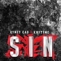 Sin (feat. Knytyme) - Single - Rymey Gad