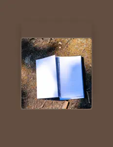 Listen to Lil Zumnii, watch music videos, read bio, see tour dates & more!