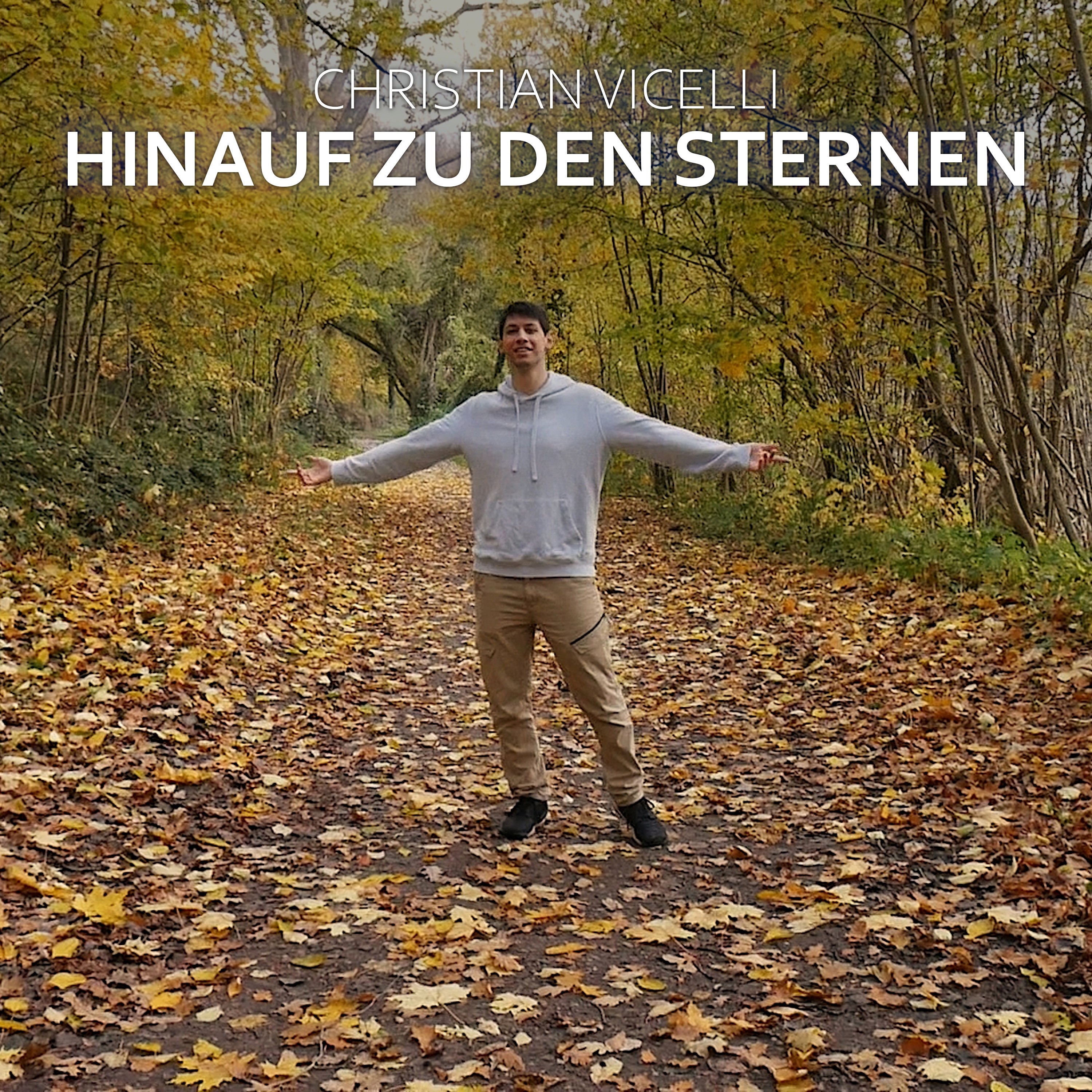 Hinauf zu den Sternen - Single