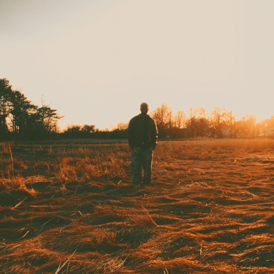 Cabin in the mountains - Single