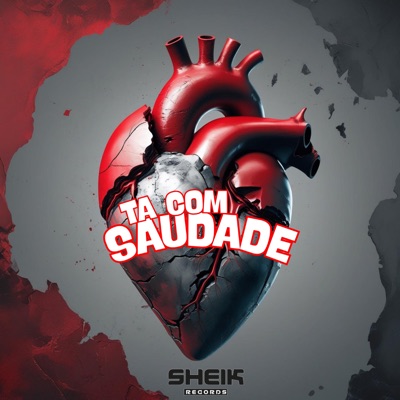 Ta Com Saudade (feat. MC RUBIN) - Single