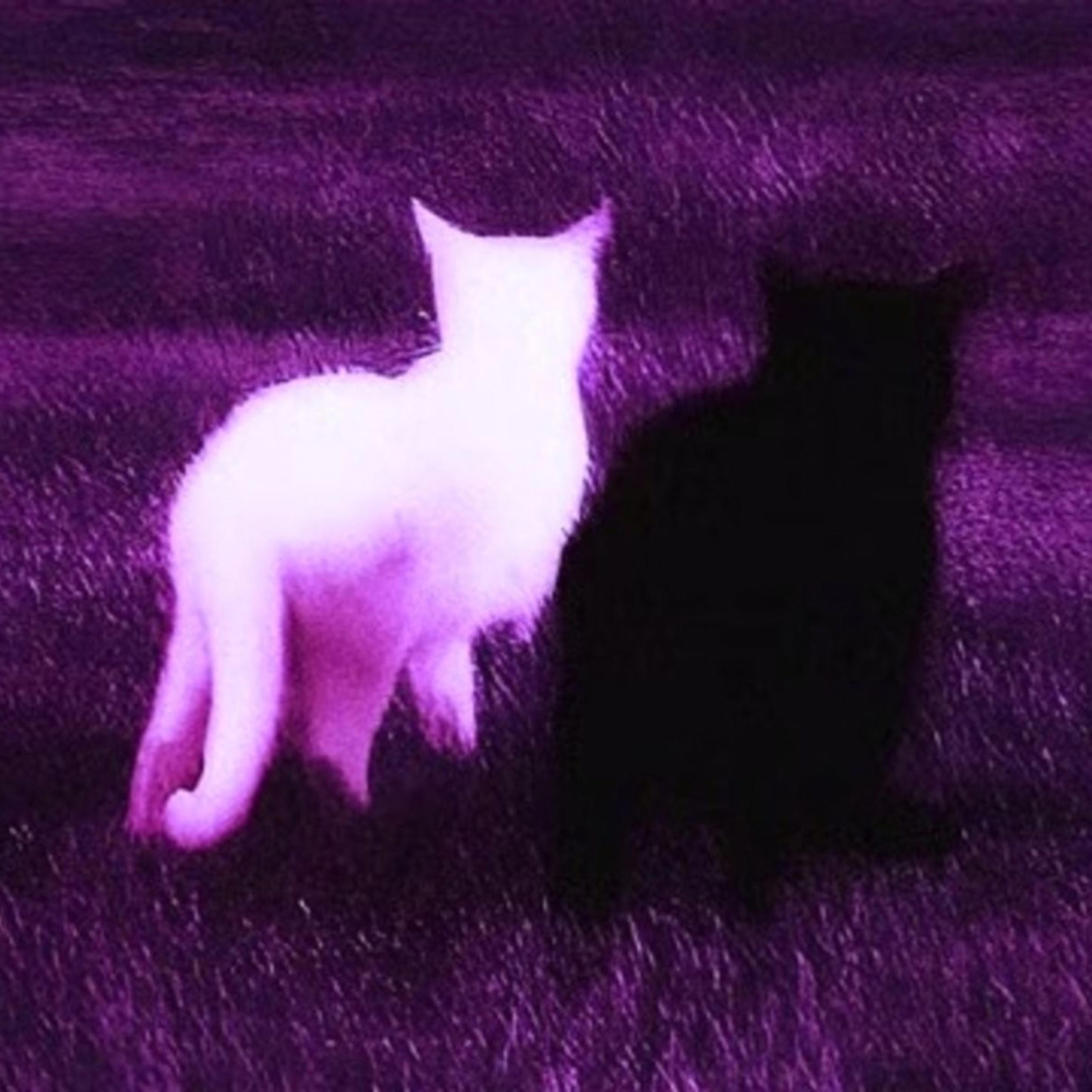 LULLABYE - xfukxlovex: Song Lyrics, Music Videos & Concerts