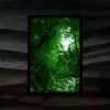 Domy Castellano - Under the Branches