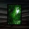 Forest Breathing