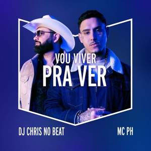 Vou Viver pra Ver (Remix)