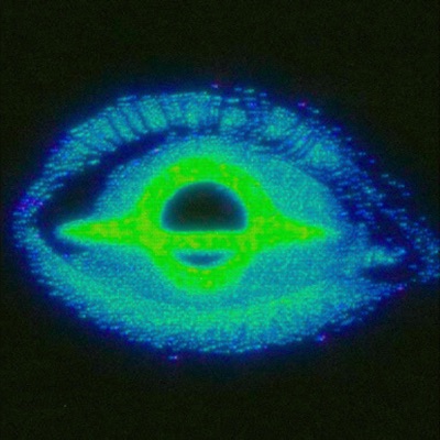 LADIES BOOTY BOUNCE - Single