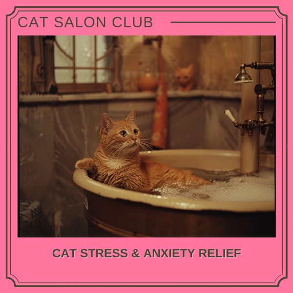 Cat Stress & Anxiety Relief