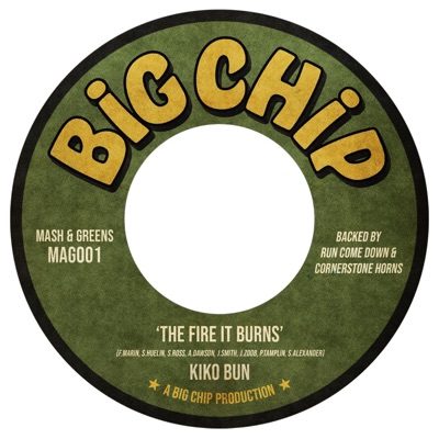 The Fire It Burns - Single
