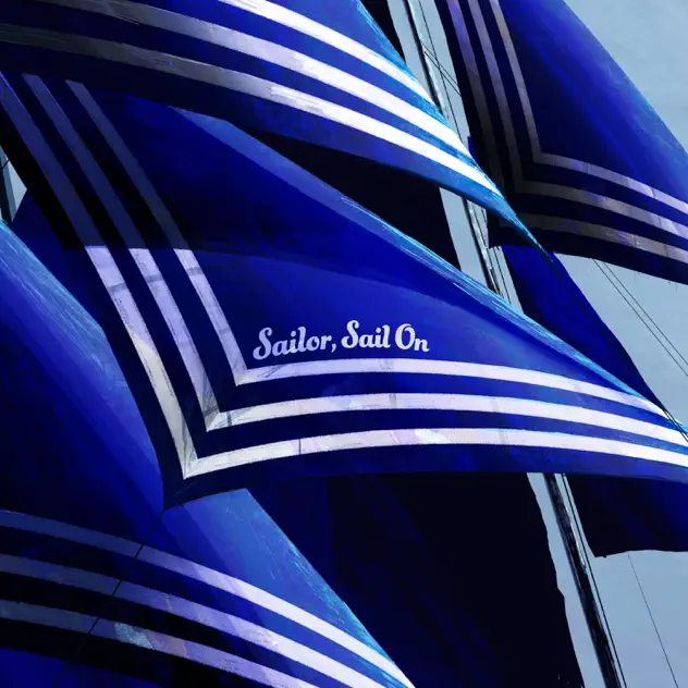 Sailor, Sail On by 新しい学校のリーダーズ – Apple Music