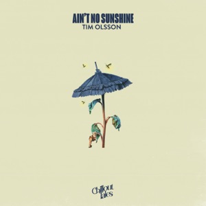 Ain't No Sunshine - Single