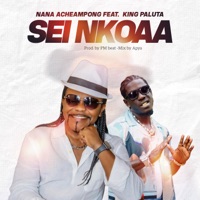 SEI NKOAA (feat. King Paluta) - Single - Nana Acheampong