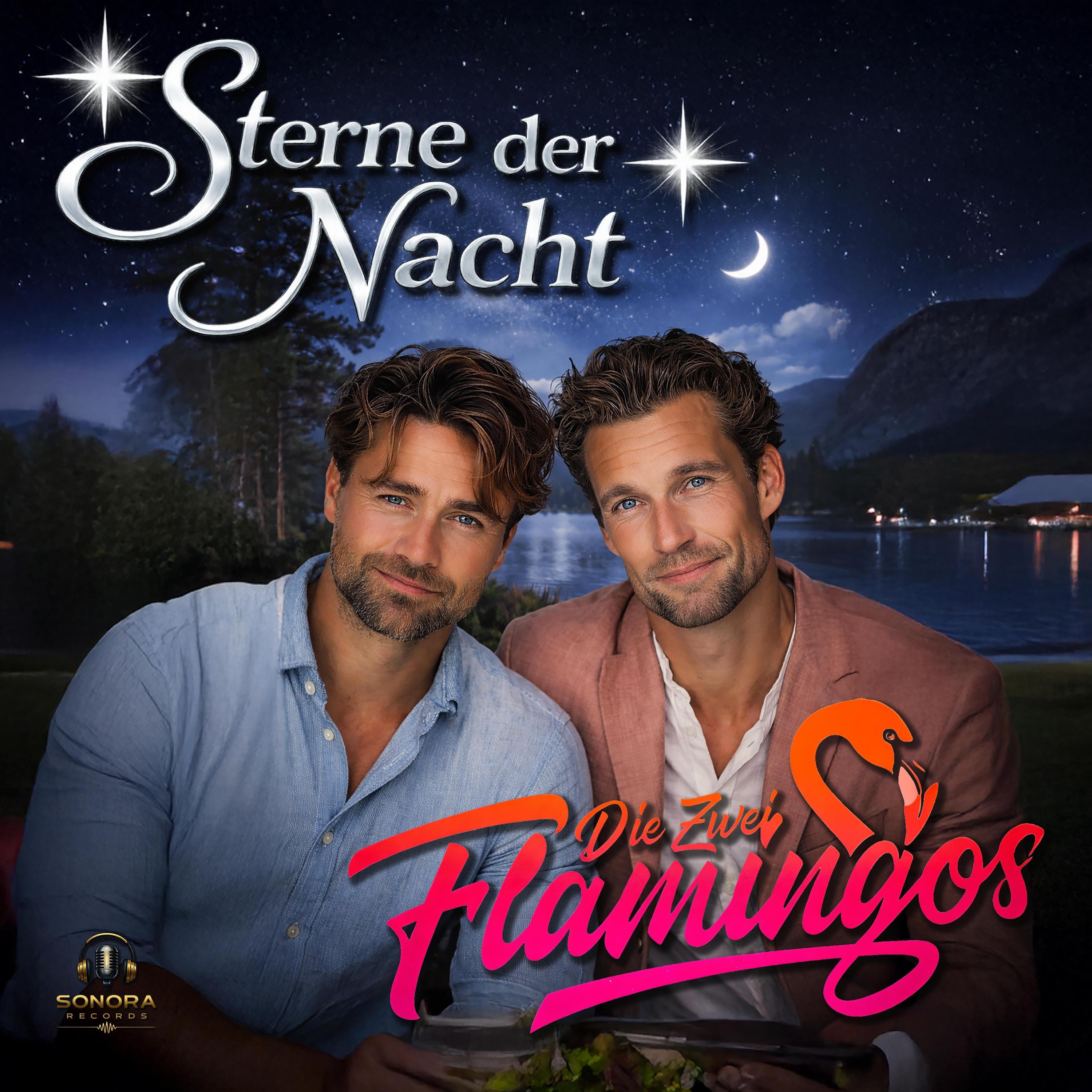 Die Zwei Flamingos - Sterne Der Nacht nu live dj geert vanuit studio minnertga