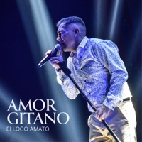 Amor Gitano - Single - El Loco Amato