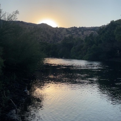 Scared of Swimming - Single