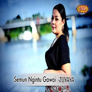Semun Ngintu Gawai Album Art