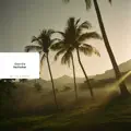 Vellichor